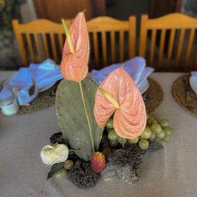 WhatsApp Image 2026-02-08 at 18.31.26 (1)