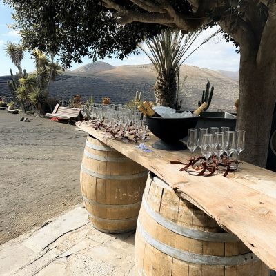 WhatsApp Image 2026-02-08 at 18.31.26 (2)