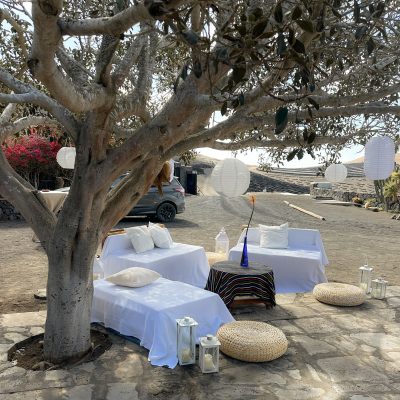 WhatsApp Image 2026-02-08 at 18.31.26 (3)