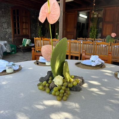 WhatsApp Image 2026-02-08 at 18.31.27