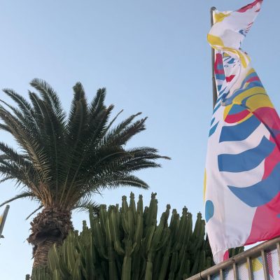 WhatsApp Image 2026-02-10 at 08.34.26